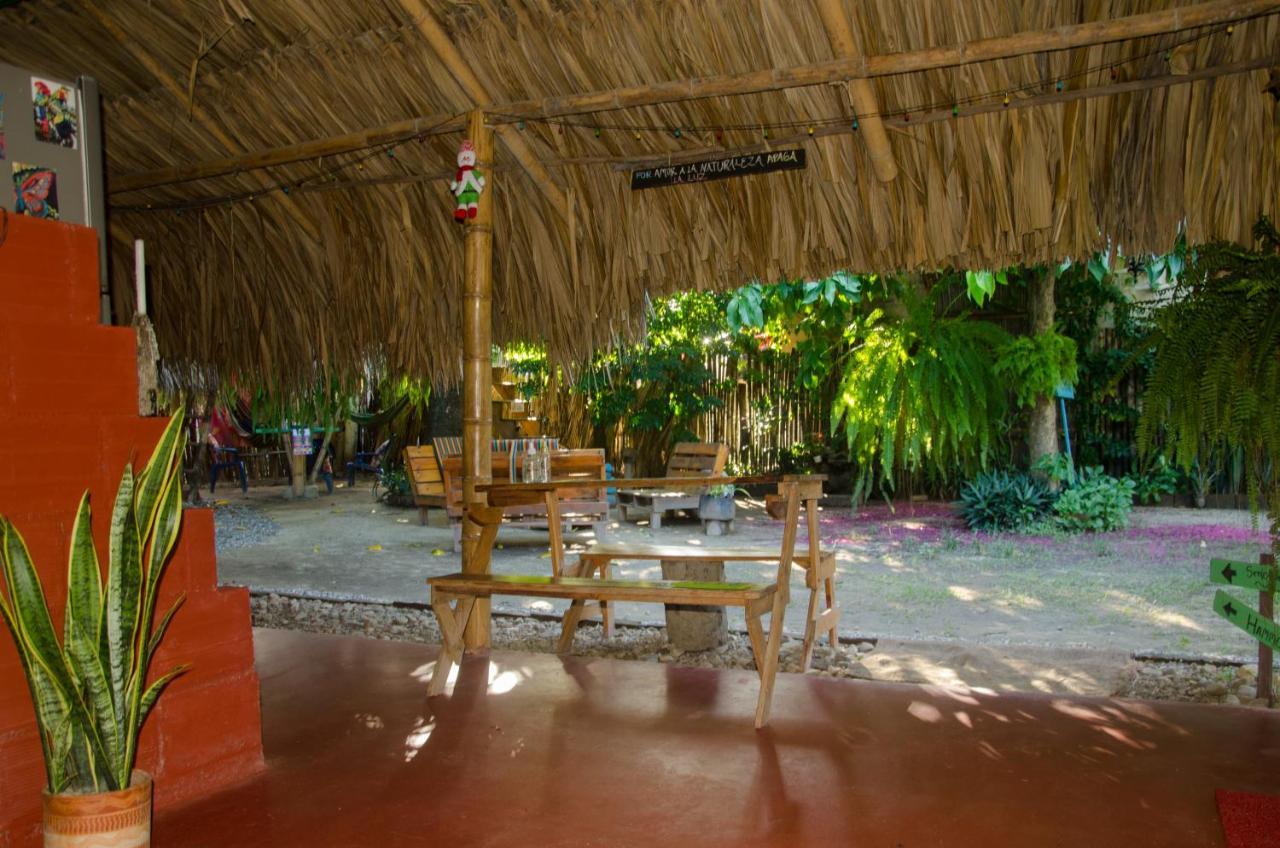 Hostal Corazon De Tagua Palomino Ngoại thất bức ảnh